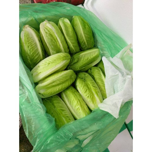 包心羅文菜